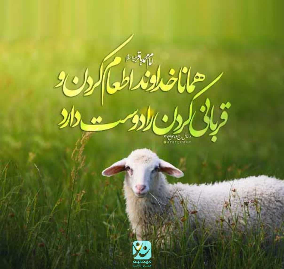 پویش: {$projectimagenewss_img->project_id}